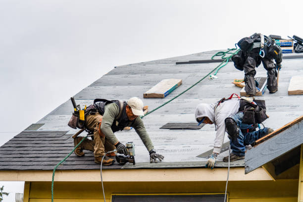 Professional Storm Damage Roof Repair technician working in Waldo, FL